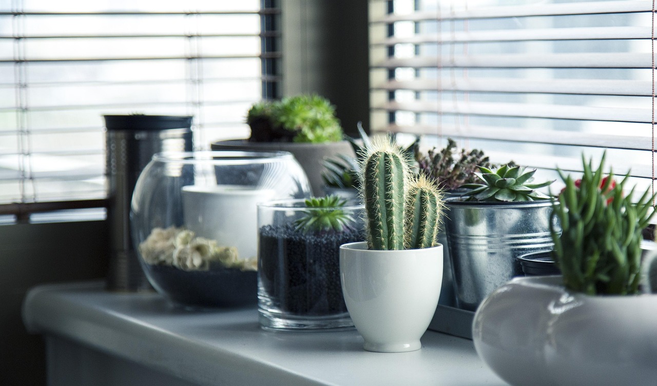 Rustgevende waterpartij in modern zomerinterieur.