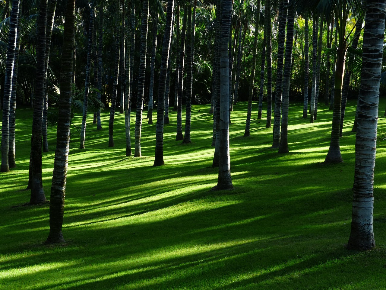 Mooie vakantiefoto in weelderige achtertuin. Mooie vakantiefoto in weelderige achtertuin.