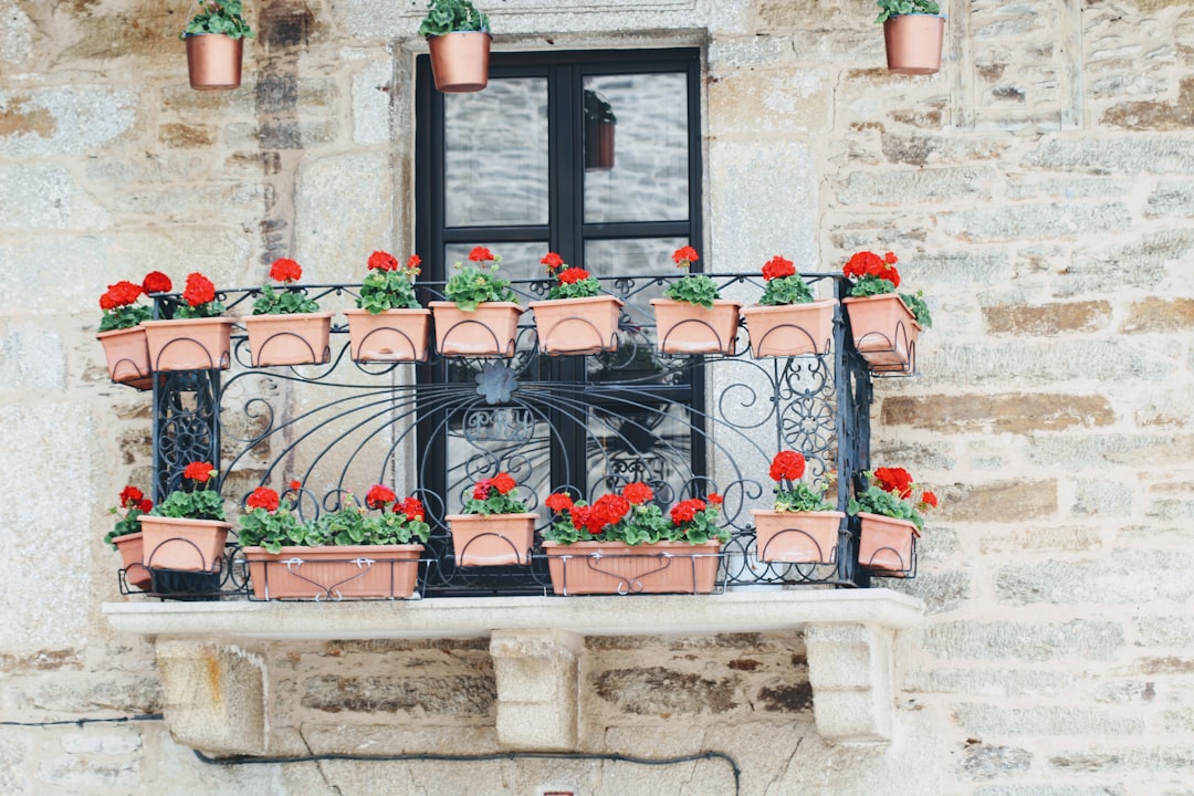 Kleurrijke pompoenen versieren herfstig balkon. Kleurrijke pompoenen versieren herfstig balkon.